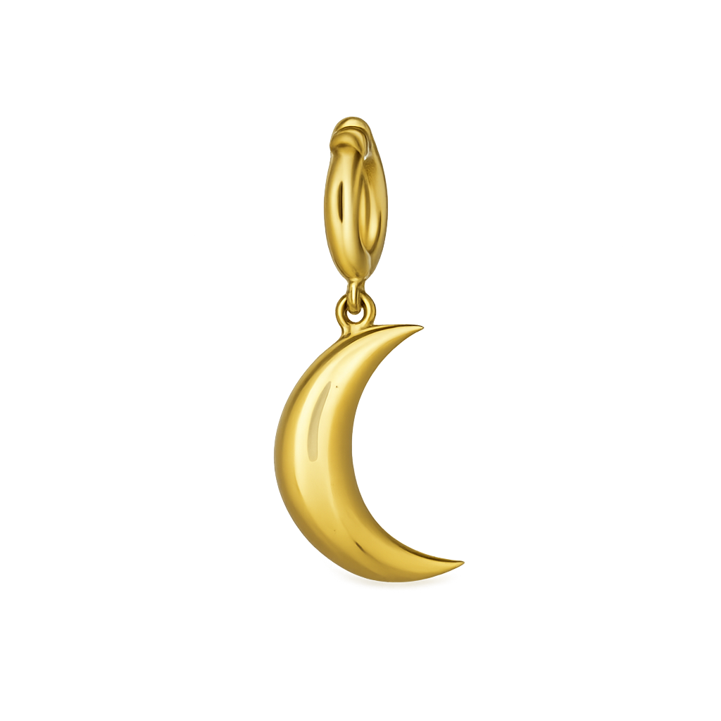 Gold crescent charm